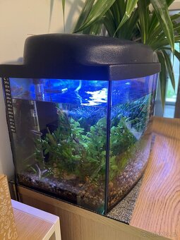 Akvárium 50x30x25 - 3