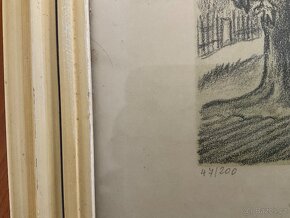 Obraz grafika originál - 3