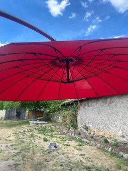 Slunečnik - 3