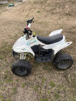 Čtyřkolka buffalo 110ccm - 3