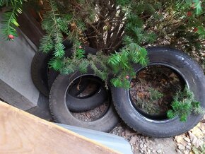 215/65 16 Barum Polaris 3 - 3