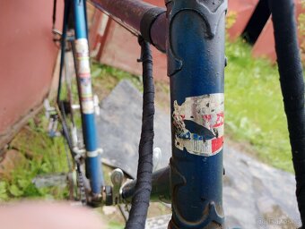 Favorit f v kroužku - 3