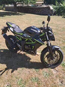 Kawasaki Z125 - 3