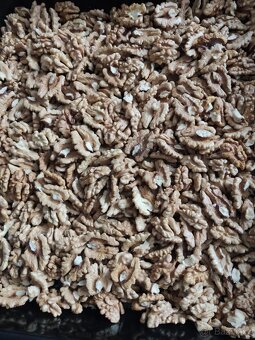 Vlašské ořechy loupané i neloupané - 3