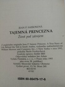 Tajemná princezna - 3