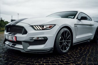 FORD MUSTANG SHELBY GT350 AVALANCHE GREY - 3