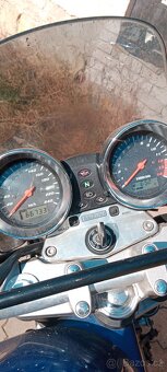 Suzuki Bandit 600, 35kw, 2003 - 3