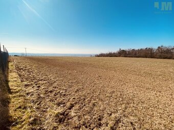 Prodej pozemky - zahrady, 7 000 m² - Dobšice, ev.č. 01717 - 3