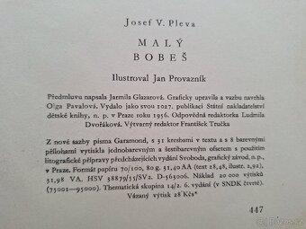 Kniha Malý Bobeš - 3