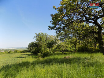 Prodej ovocného sadu, 912 m², Třebenice, ul. Třebenice - 3