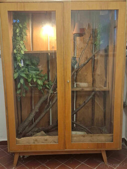 Terarium + Agami - 3