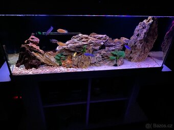 Akvarium s tlamovci a prislusenstvim - 3