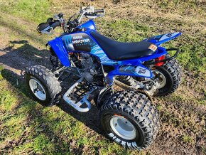 Yamaha raptor 250r - 3