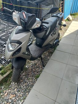 Pandora 50 - 3