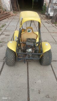 Buggy - 3
