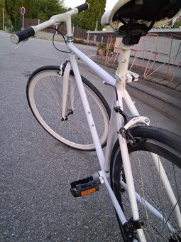 BOTTECCHIA Italia single speed fixie - 3