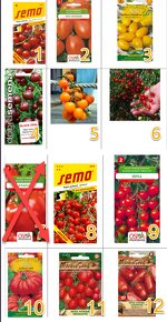 Sazenice rajčat, okurky, dýně Hokaido - 3