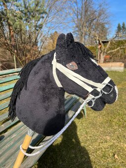 Hobby horse - 3