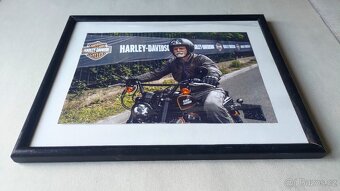 PREZIDENT PAVEL A HARLEY-DAVIDSON - 3