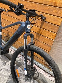 Levit Muan 29" Velikost rámu 19" (L) - 3