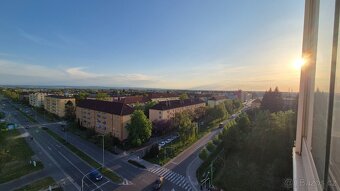 Prodej bytu 2+1 Pardubice - 3