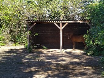Venkovní ustájení Praha 4 - 3