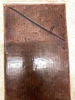 Artemie, discus mix, koretra, dafnie, mysis, hovězí srdce, - 3