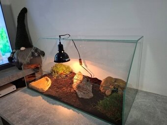 Prodám želví stůl/želvárium různých velikostí - 3
