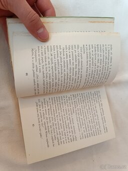 Velký Gatsby – F. S. Fitzgerald - 3