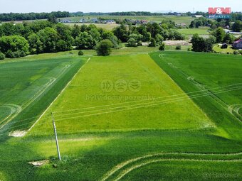 Prodej pole, 5585 m², Sedliště - 3