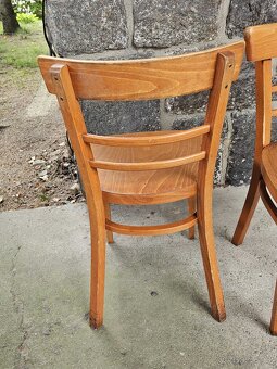 Hospodské gastro židle dřevěné, 113 ks - 3