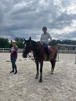 Prodám klisnu 8 let - 3