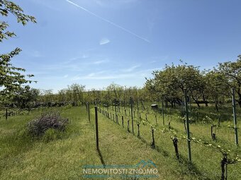 Prodej zahrady 650m2, k.ú. Dobšice u Znojma - 3