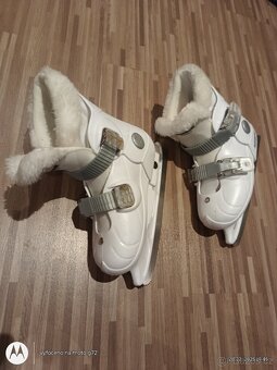 Rostoucí brusle lední - 3