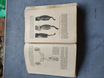 Stará kniha včelařství - 3