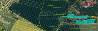 Prodej lesa, 17 628 m², Bělá u Jedlé, okr. Havlíčkův Brod - 3