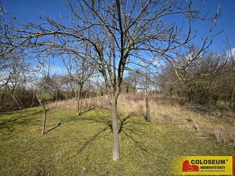Starý Poddvorov, pozemek - zahrada, 1.891 m2, sítě na hranic - 3