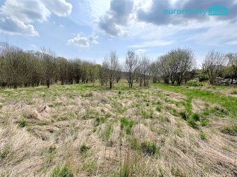 Prodej, stavební pozemek, 5800 m², Planá u M. Lázní - 3