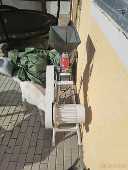 Srotovnik na obili - 3