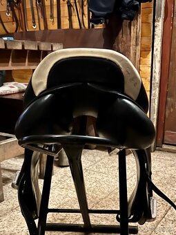 Prestige Elastic - 3