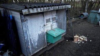 Kurník pro slepice,slepice,nosnice  8ks + kohout - 3