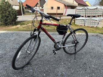 Kolo Ravo palomar - 3