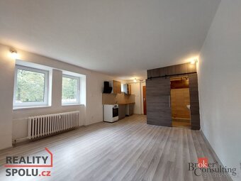 Pronájem, byty/1+kk, 30 m2, Podkrušnohorská 1618, Horní Litv - 3