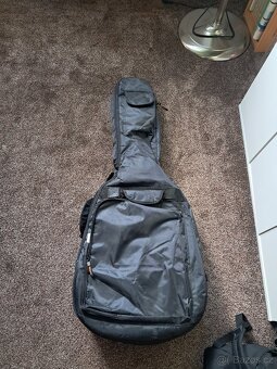 Kytara Washburn - 3