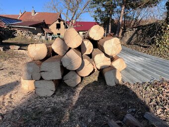 Dřevěné nepoužité trámy - 3
