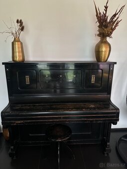 Piano Dalibor - 3