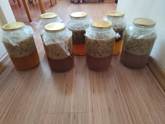 Prodej přebytků letošní medové víčkovice. - 3