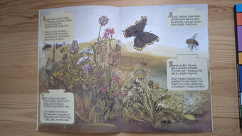 Publikace 1+1: Medová abeceda a Od křížovek k hádankám - 3