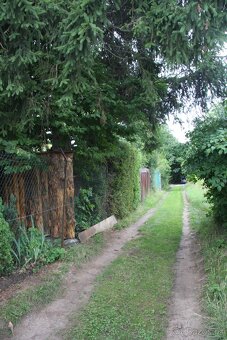 Prodej zahrady s chatou v Čáslavi - 3