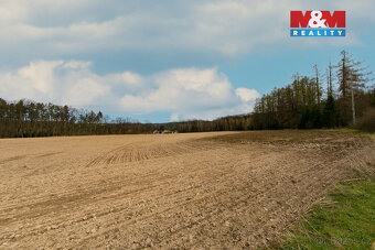 Prodej pole, 5839 m², Předenice - 3